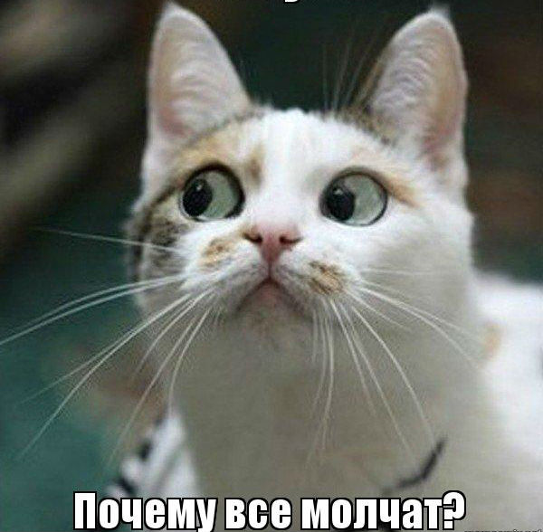 Cамые лучшие способы разговорить подписчиков в Инстаграм*