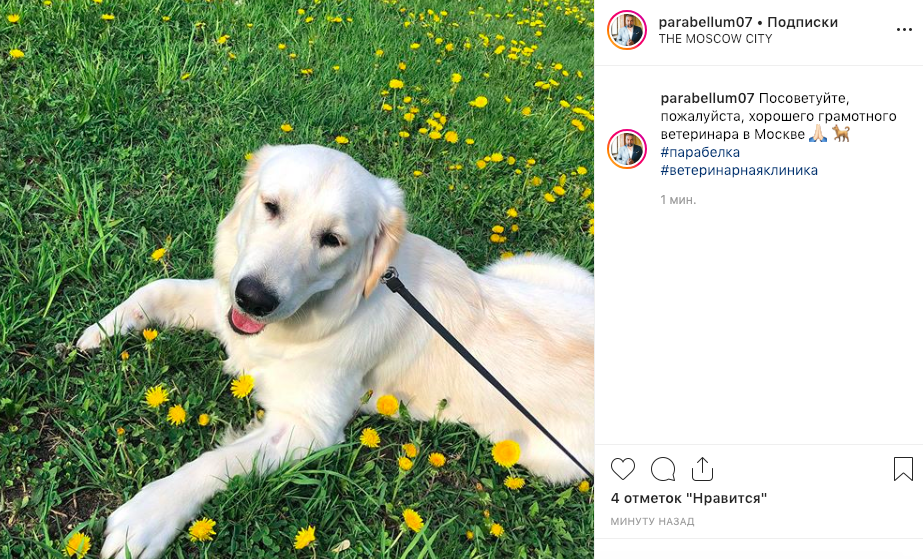 100 идей для Instagram*-блога: ваш источник вдохновения