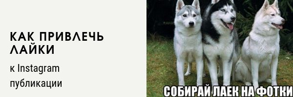 Как привлечь лайки к Инстаграм*-публикации?