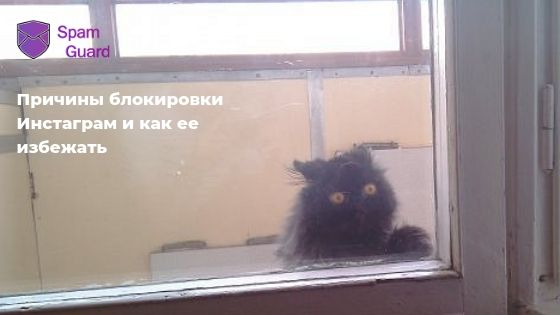 Причины блокировки Инстаграм* и как ее избежать